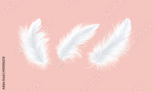 Elegant Feathers Vector flat minimalistic isolated illustration