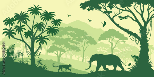 Jungle forest silhouette, rainforest background. Amazon forest scenery, african or Brazil jungle environment vector backdrop, wallpaper with palm trees, lianas, jaguar and elephant animals silhouettes