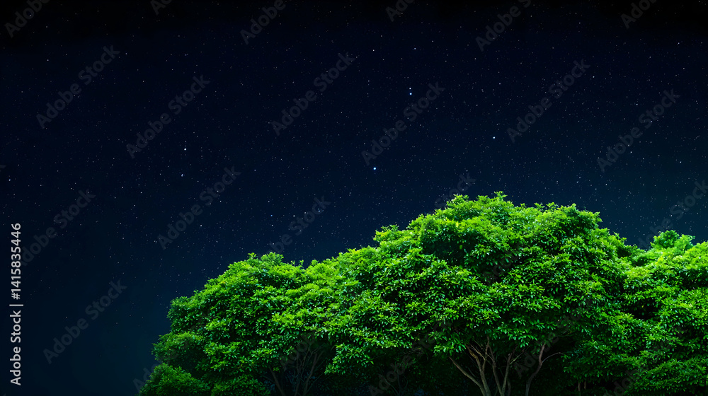 Starry Night Above Lush Green Trees