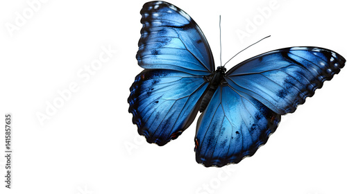 A high-definition, realistic blue butterfly with wings open, isolated on a white background