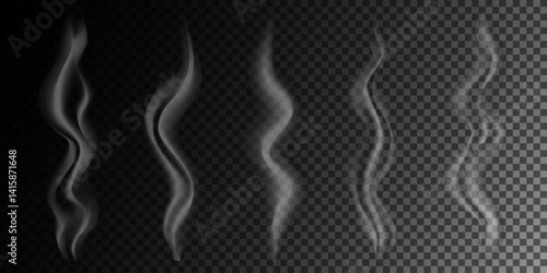 Abstract white smoke, steam, isolated on a transparent background, realistic vector illustration 8. Set of isolated objects 44.