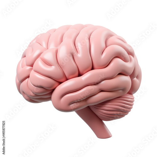 3d cartoon icon of a Human Brain