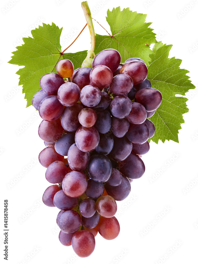 Fototapeta premium Bunch of grapes