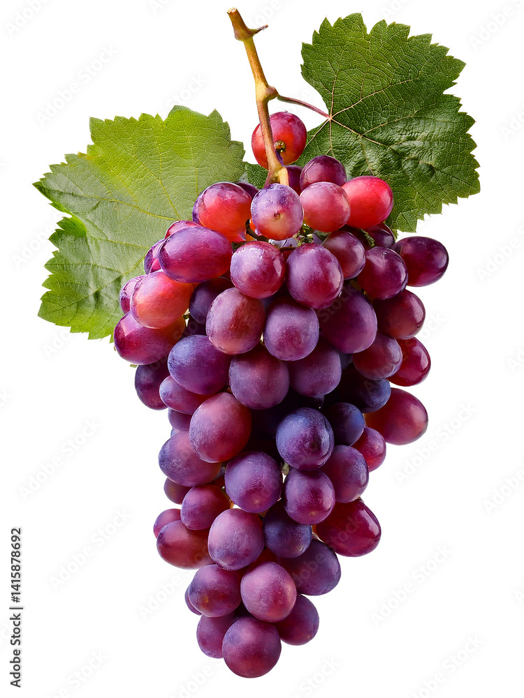 Fototapeta premium Bunch of grapes
