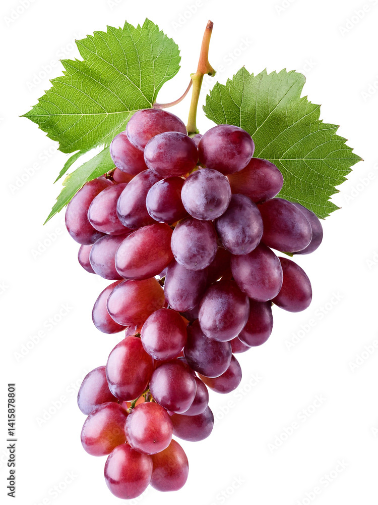 Fototapeta premium Bunch of grapes