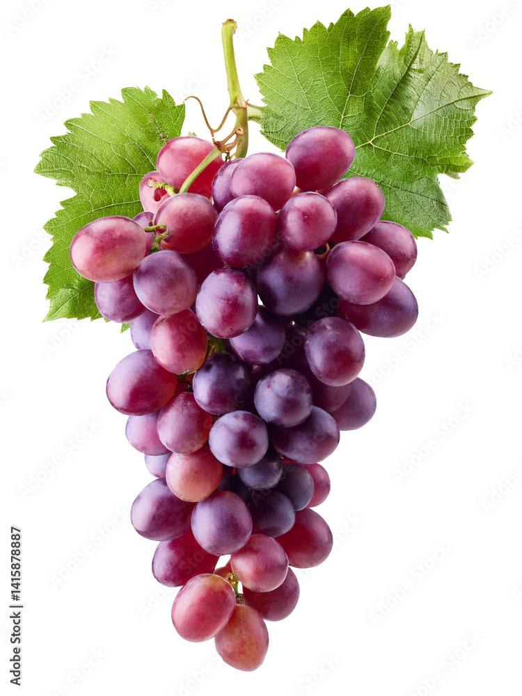 Fototapeta premium Bunch of grapes