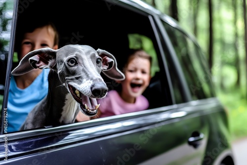 Joyful Greyhound Enjoys First Road Trip with Family in Car Window