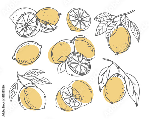 Lemon fruit outline set. Collection of lemon sketches with yellow spots. Hand drawn doodle style illustration