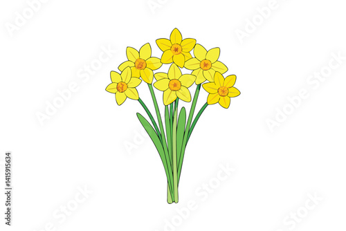 daffodils isolated on white
