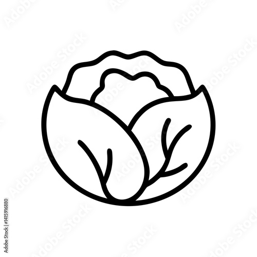 cabbage