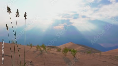 Scenic desert landscape with sand dunes and distant mountains