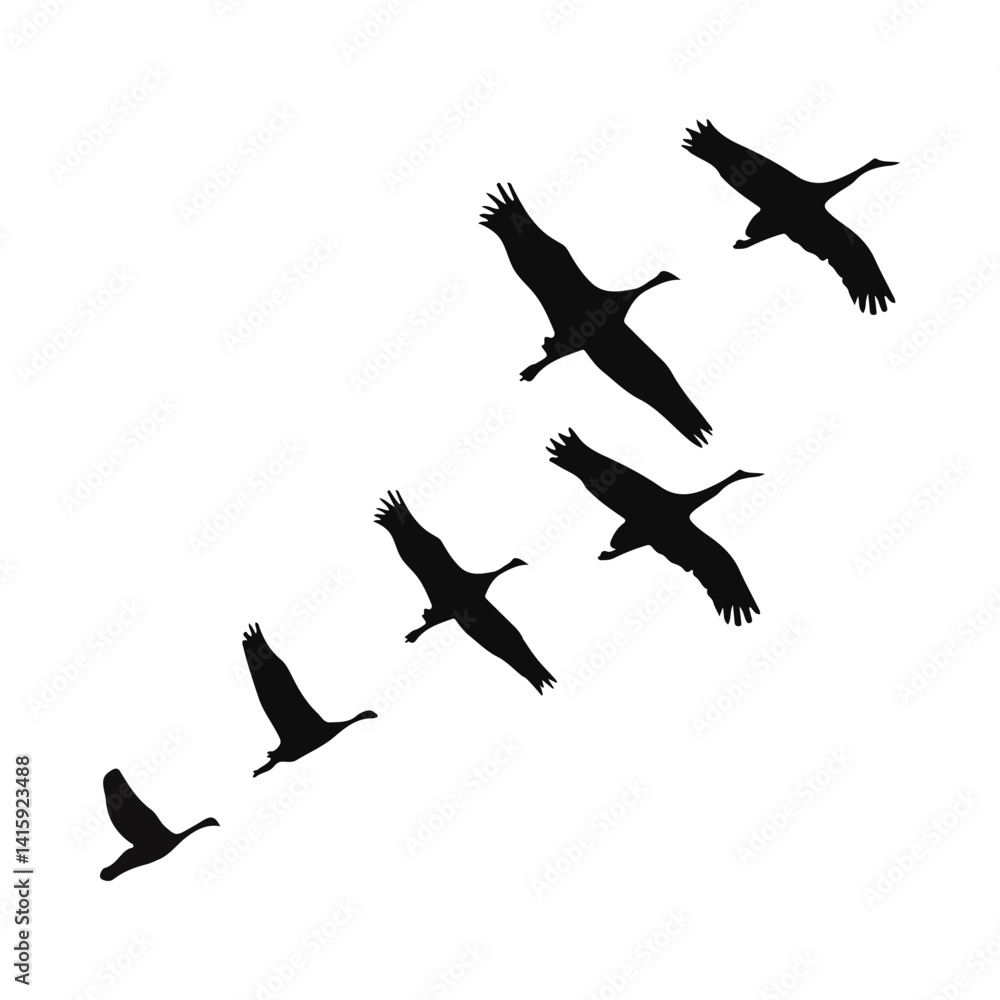 Majestic Flight of Cranes in V Formation Wildlife Photography Majestic Flight of Cranes in V Formation Wildlife Photography