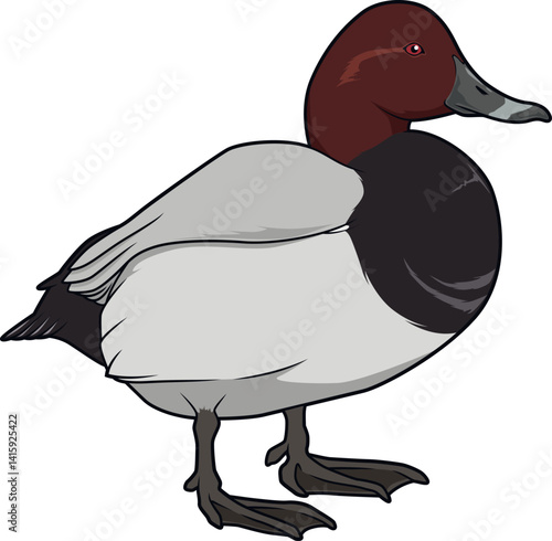 Naturgetreue Darstellung einer Tafelente mit markantem roten Kopf und grauem Körper.
