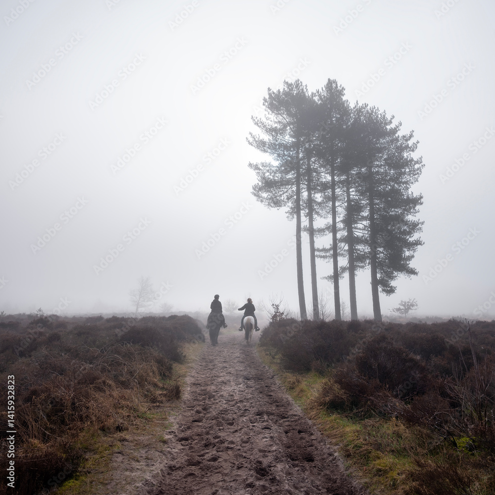 two women on horseback ride in forest area near amersfoort in the netherlands