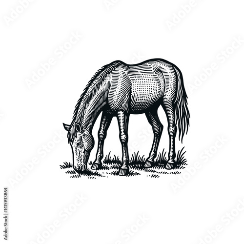 Grazing Horse in the Meadow, drawn in an engraved, woodcut style with fine details sketch engraving vector illustration. Scratch board imitation. Black and white image