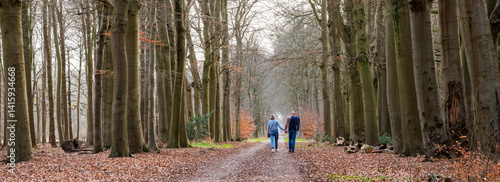 Obraz na płótnie couple of man and woman hold hands while walking on forest road in the netherlands w salonie