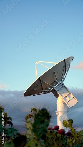 Large parabolic antenna pointing at the sky during a beautiful sunset, with some vegetation and palm trees in the foreground, used for aerospace and satellite telecommunications
