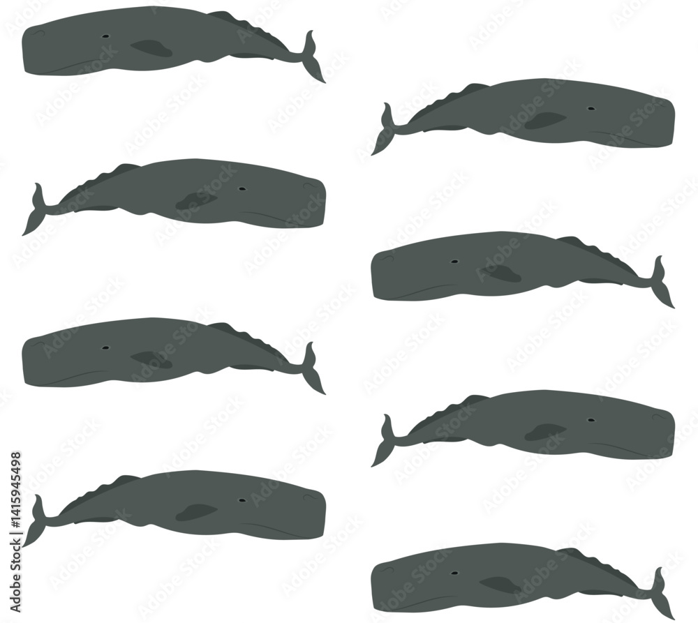 Vector seamless pattern of flat hand drawn sperm whale isolated on white background Vector seamless pattern of flat hand drawn sperm whale isolated on white background