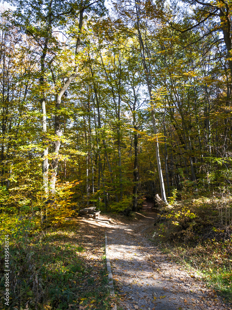 Autumn view of Plana Mountain, Sofia region, Bulgaria