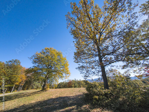 Obraz na płótnie Autumn view of Plana Mountain, Sofia region, Bulgaria w salonie