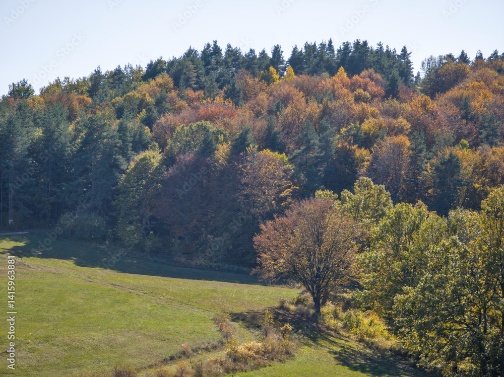 Autumn view of Plana Mountain, Sofia region, Bulgaria