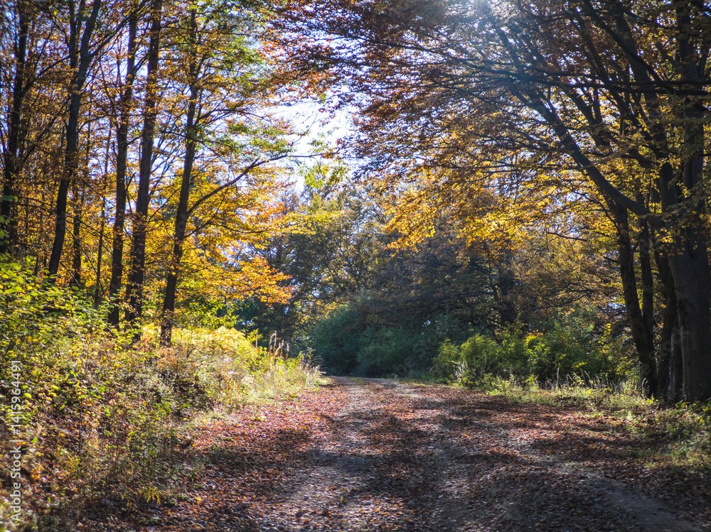 Obraz premium Autumn view of Plana Mountain, Sofia region, Bulgaria