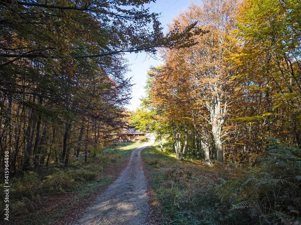 Autumn view of Plana Mountain, Sofia region, Bulgaria