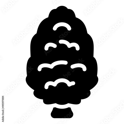 Balsam Fir