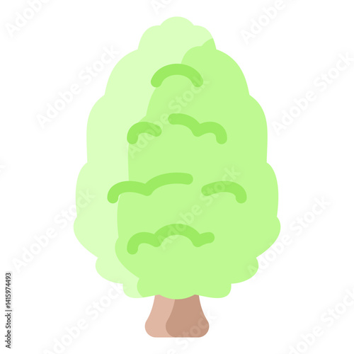 Balsam Fir