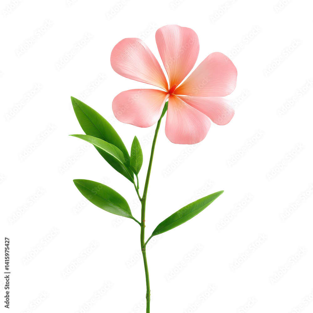 Obraz premium Pink flower with green leaves isolated on transparent background