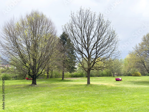 Peaceful park landscape with hammocks and trees in springtime