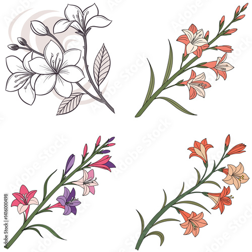 A gladiolus stem icon with multiple flowers blooming along the 
stalk