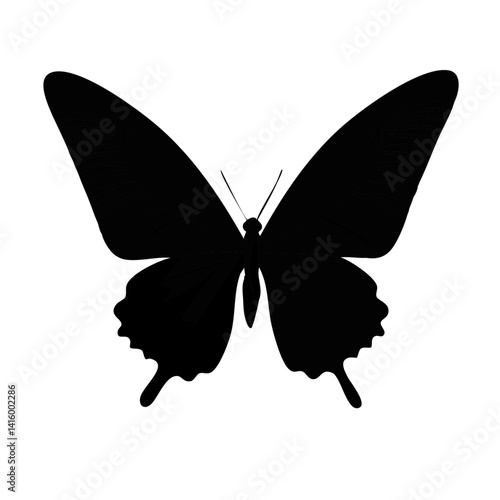 Obraz na płótnie butterfly silhouette on white background vector design w salonie