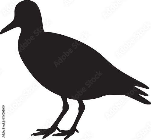 Dotterel Silhouette – Minimal Vector Illustration on White Background