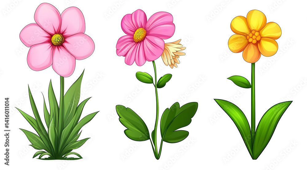 collection of flower on white background,isolated on white,clip art
collection of flower on white background,isolated on white,clip art