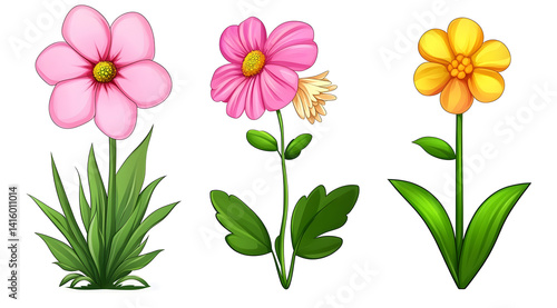 collection of flower on white background,isolated on white,clip art
