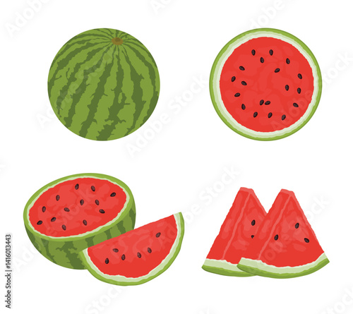 Set of watermelon fruit with different cut and slices