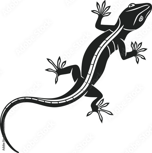 lizard on a black background