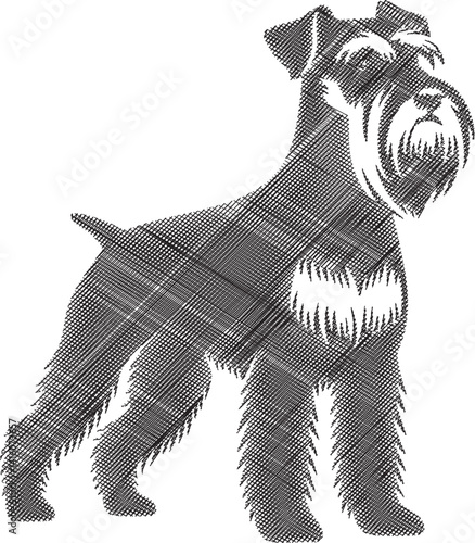 Playful Schnauzer Dog Illustration