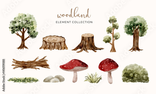 woodland forest watercolor element collection