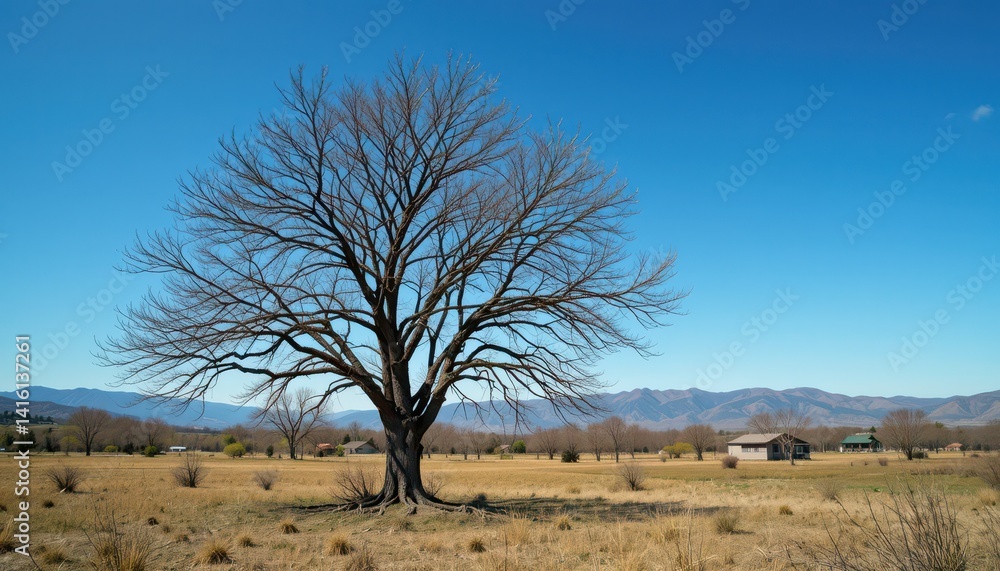 Majestic Moss-Covered Tree Against a Vibrant Blue Sky A Stunning Nature Photograph Majestic Moss-Covered Tree Against a Vibrant Blue Sky A Stunning Nature Photograph