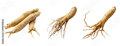 Raw Ginseng Roots on Transparent Background for Health and Wellness Use