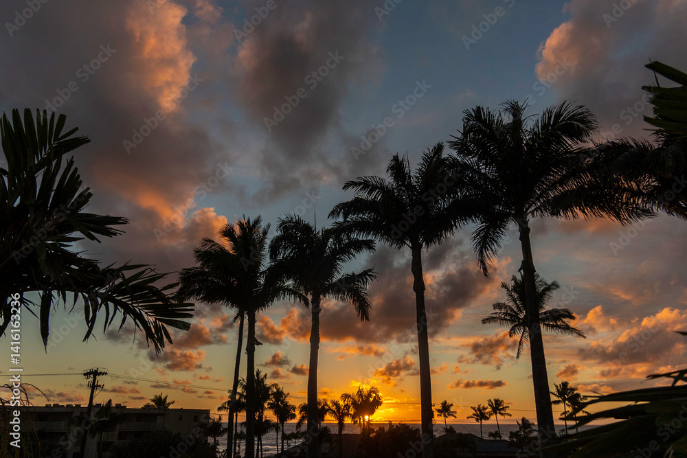 Obraz premium a sunset in Kauai Hawaii 