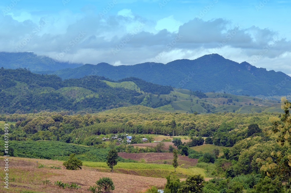 mountain landscape in the summer