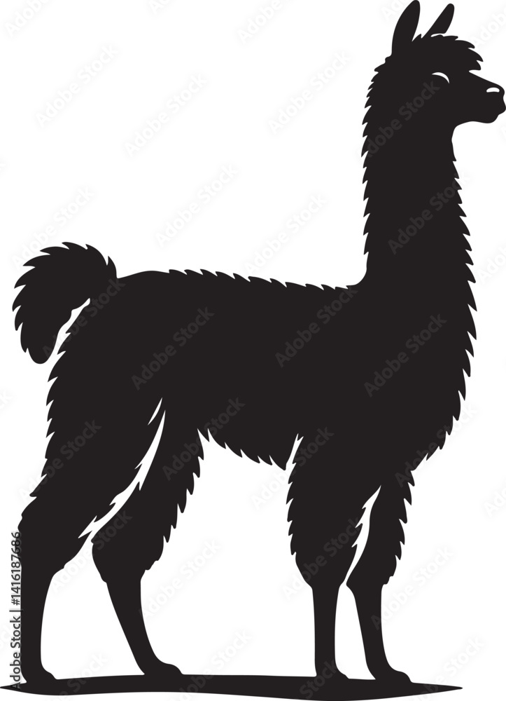 Fototapeta premium Alpaca silhouette and black vector