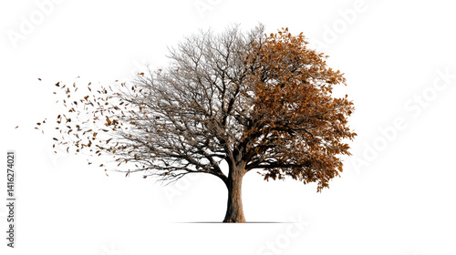 Seasons of Change: Captivating image of a tree, where one half displays vibrant autumnal foliage while the other reveals bare branches with falling leaves.