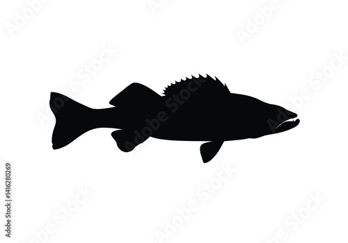 Walleye silhouette. This image shows a walleye fish, also referred to as yellow pike or pickerel, with streamlined fins and sleek body details. Vector clipart black illustration design.