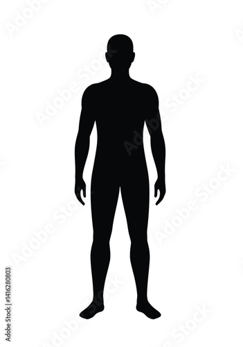 Human silhouette. This image shows a black silhouette of a standing human figure, emphasizing structure, posture, and anatomical representation. Vector clipart black illustration design.