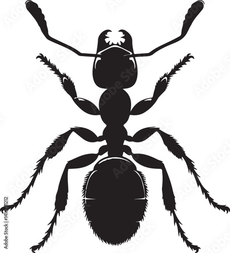 Ant silhouette black vector