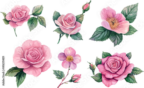Wallpaper Mural set of roses vector illustration Torontodigital.ca
